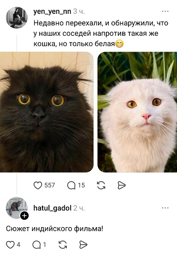 https://i6.imageban.ru/out/2026/05/26/603e42c8f9ab885d2699ea88acb8aa7c.jpg