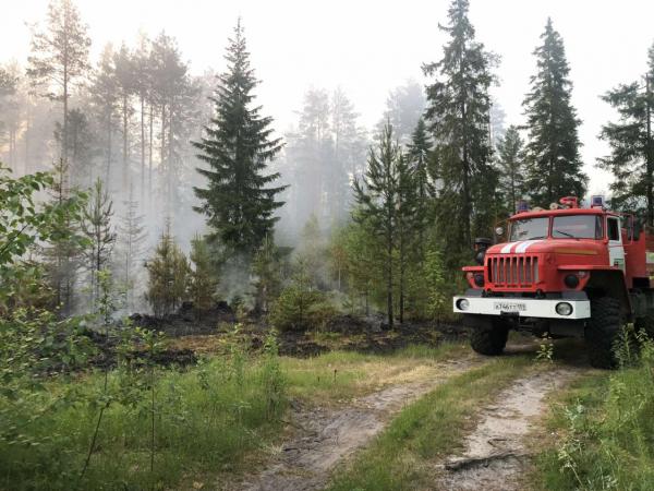 В Пермском крае потушен лесной пожар в Очёрском лесничестве