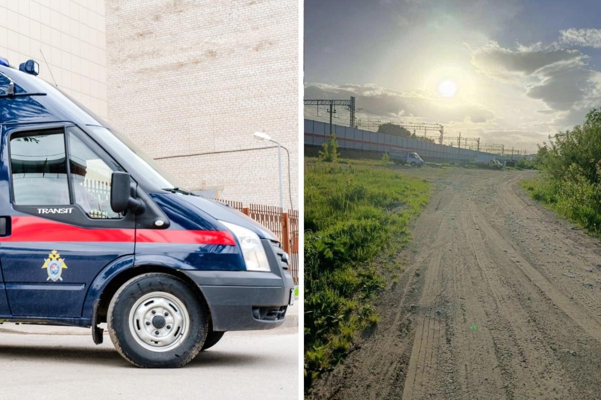 В Перми возбуждено уголовное дело после нападения собаки на мальчика