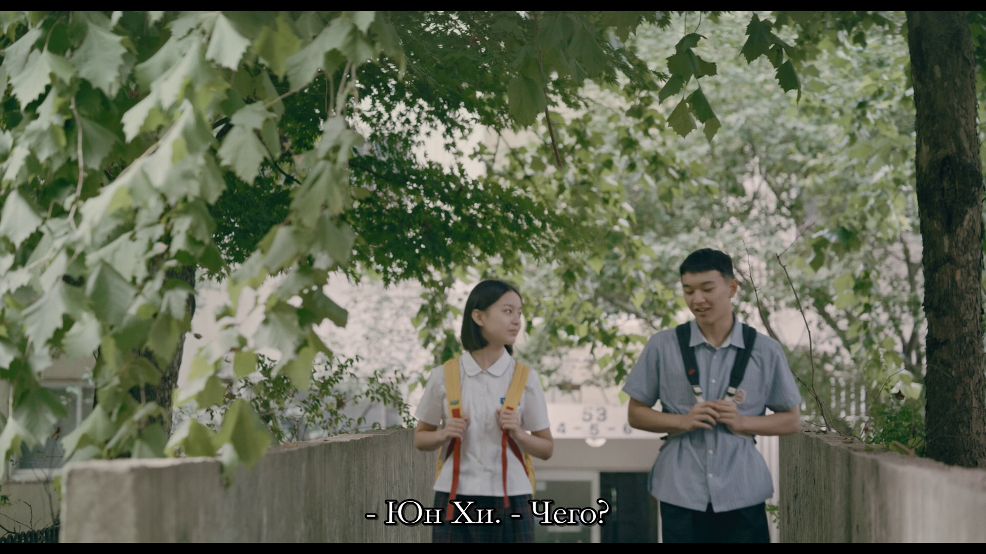 vlcsnap-2026-05-30-06h50m01s074.png