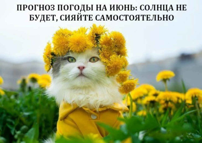 https://i6.imageban.ru/out/2026/05/30/603311c96a4aa5ad717746690c85b45f.jpeg