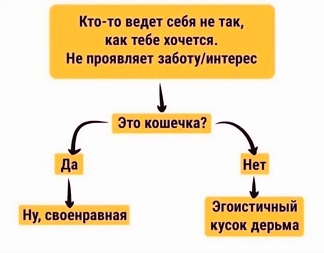 https://i6.imageban.ru/out/2026/06/05/17ce984b4e62d4e46eba8e8ae6d1b1ff.jpg