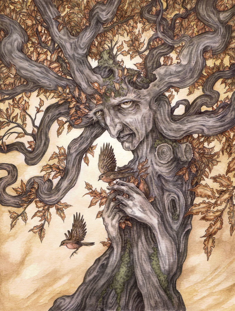 ask-the-oak-web.jpg