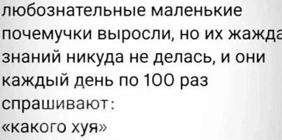 https://i6.imageban.ru/out/2026/06/06/e7c5fc526427d65a1d5c6b29a79dab78.png