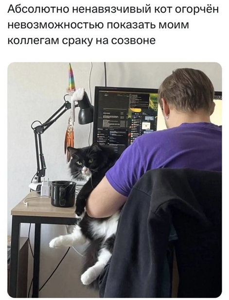 https://i6.imageban.ru/out/2026/06/10/6761edafdf99bd35b821959e76aa0c48.png