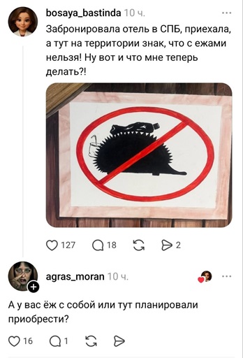 https://i6.imageban.ru/out/2026/06/11/bc0d2a955d4ccb24b7c3e7e85815369d.jpg