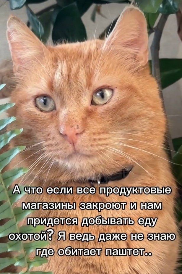 пwyMDqIWlKWZxCnlX3wSwh9G8JEb4JnV0bJq0uVmuwC6sNAlzas-msTTIKhecZbnq2wjRxNq774IeZ41iiaPUPWZI.jpg
