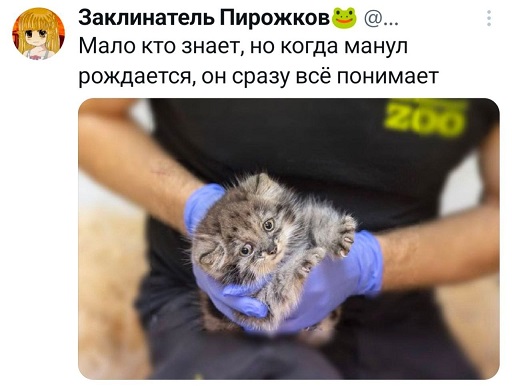 https://i6.imageban.ru/out/2026/06/19/ba8280c51bee1ea6d7e414d553ed5efb.jpg