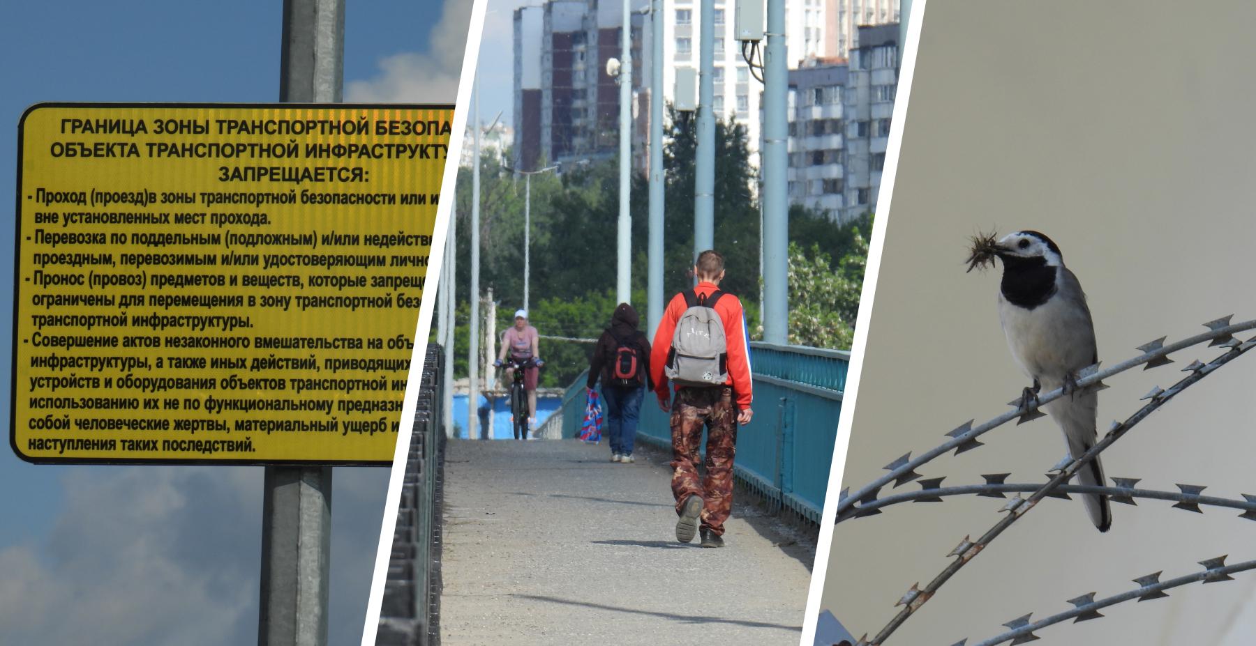 Сигнализация на мосту над Мулянкой требует покинуть зону безопасности
