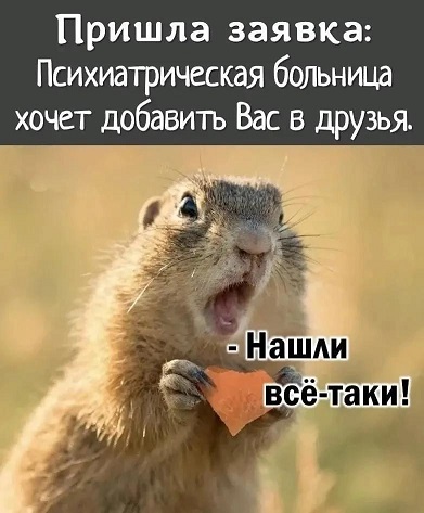 https://i6.imageban.ru/out/2026/06/23/052a620604ad91f51de2d6222b22cea0.jpg
