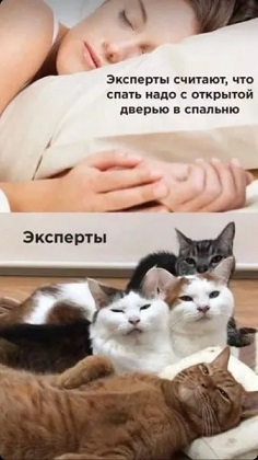 https://i6.imageban.ru/out/2026/06/23/a9a0435ce4b4d9eecd07108150f11f9b.jpg
