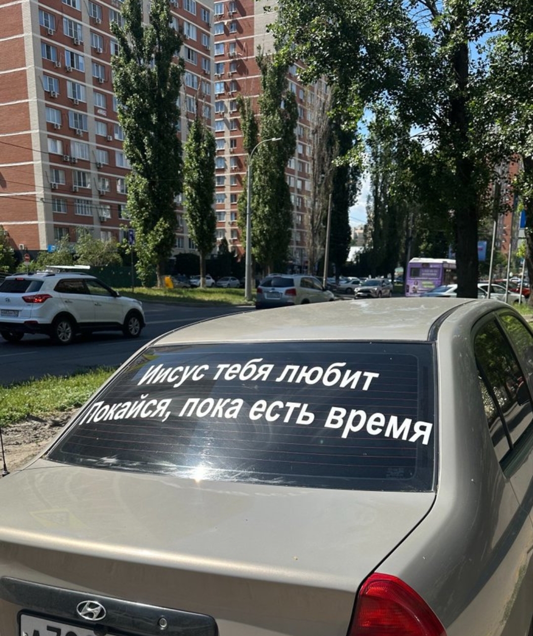 1000074369.jpg