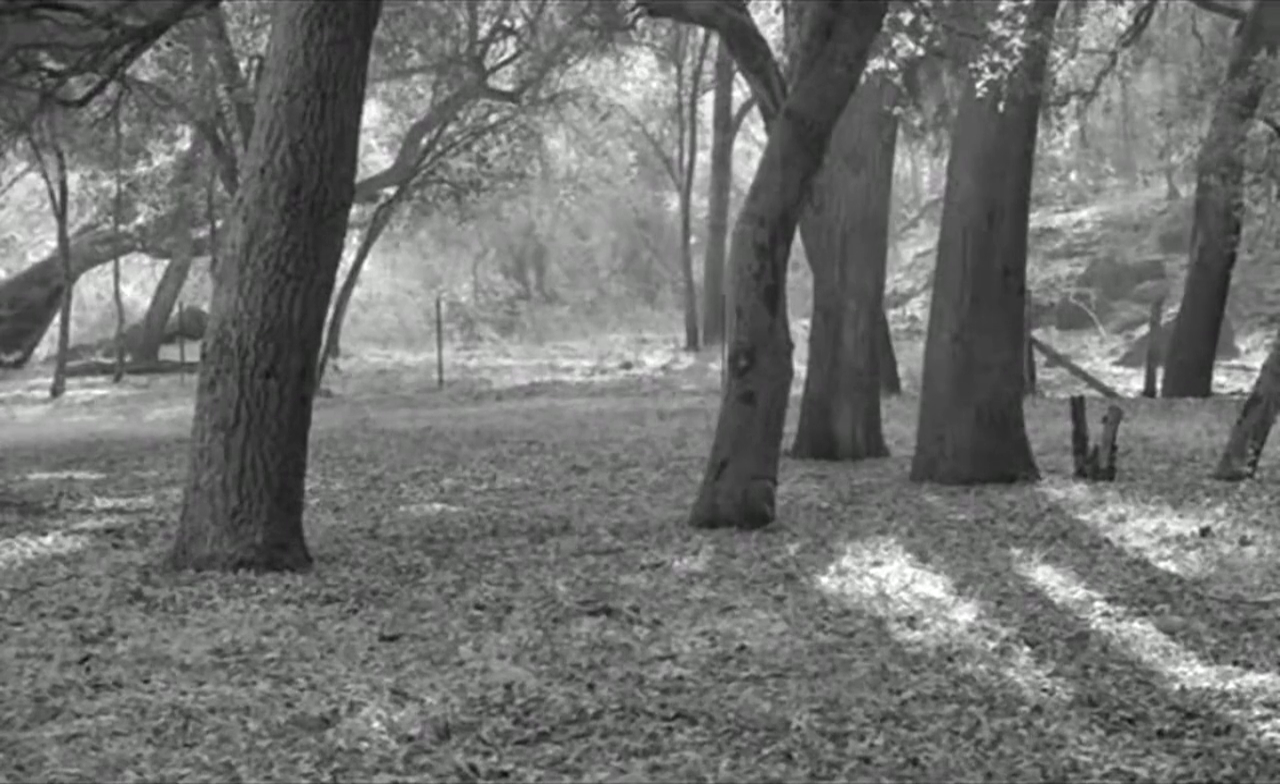 vlcsnap-2026-06-27-04h08m47s033.png