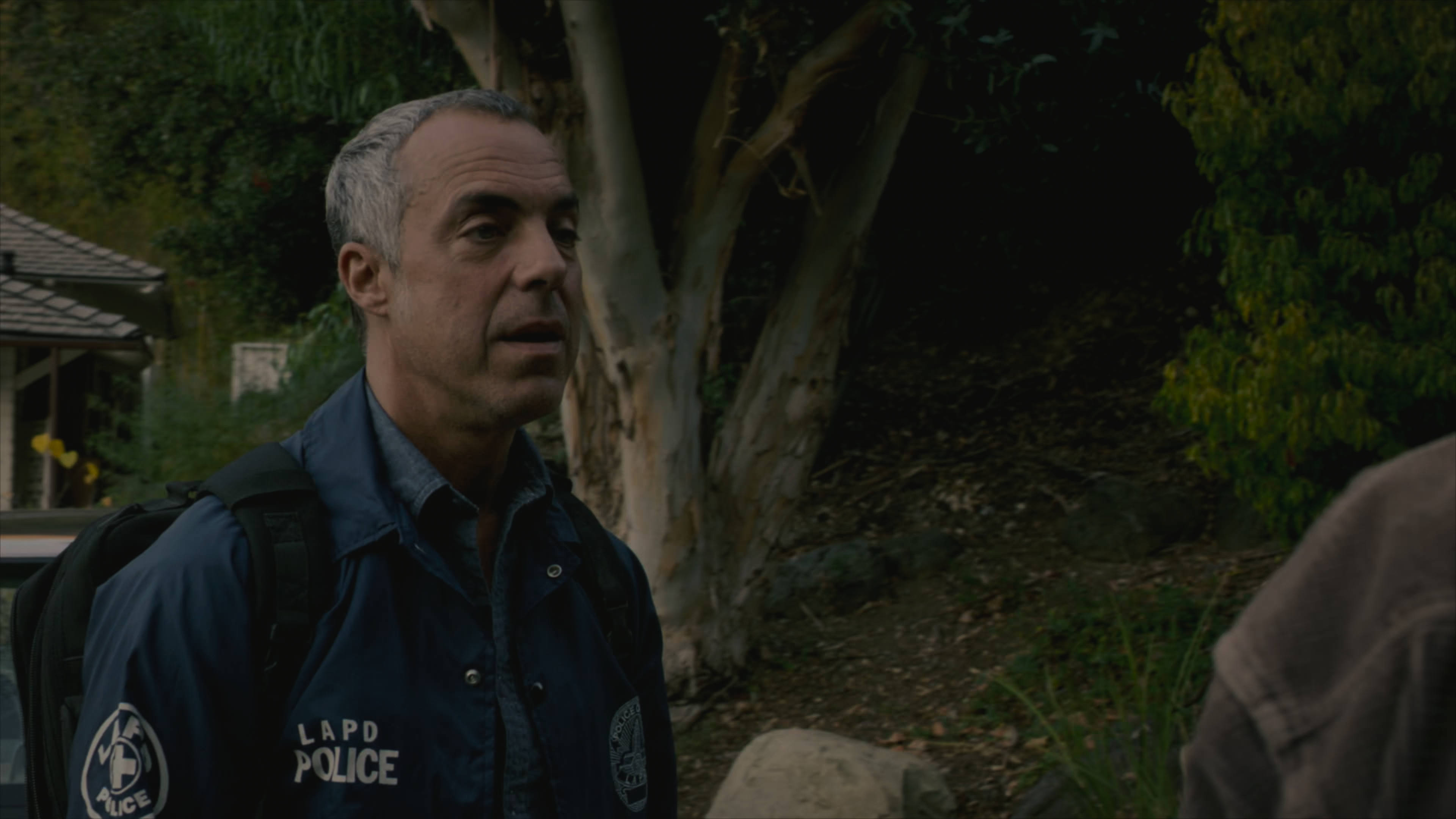 Bosch.S01E01.2160p.HDR.AMZN.WEB-DL.Rus.Eng.TeamHD.mkv_snapshot_23.20.490.png