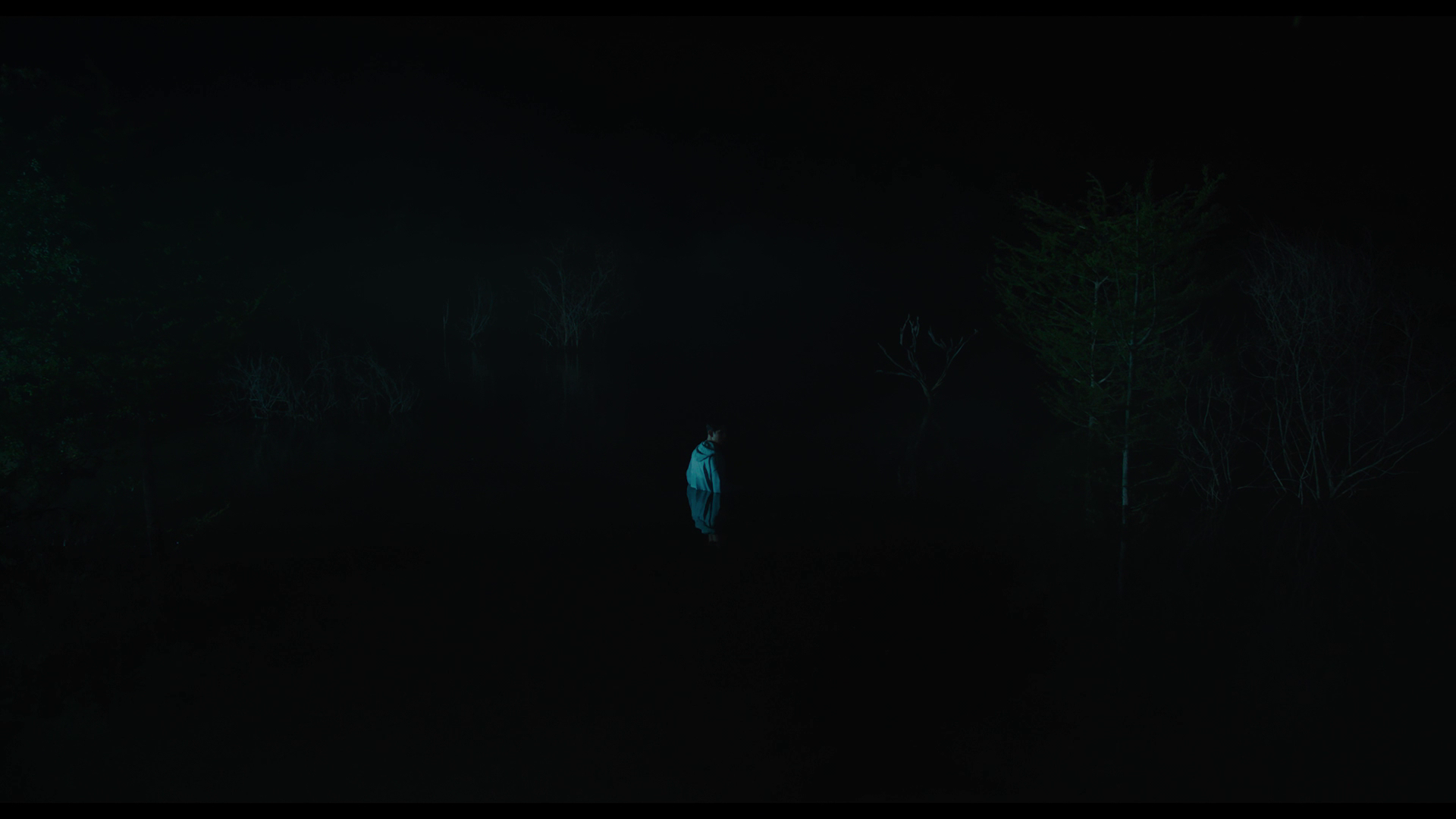 vlcsnap-2026-06-28-17h57m25s156.png