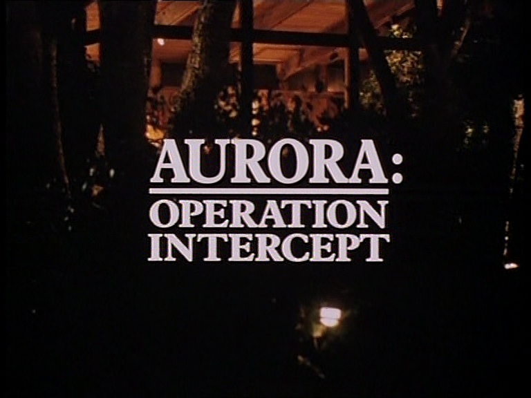 dvd_snapshot_00.01.01.880.png