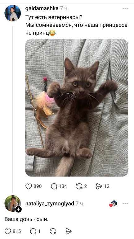https://i6.imageban.ru/out/2026/06/29/12f0b1b1376504fd89504655f3927f8c.jpg