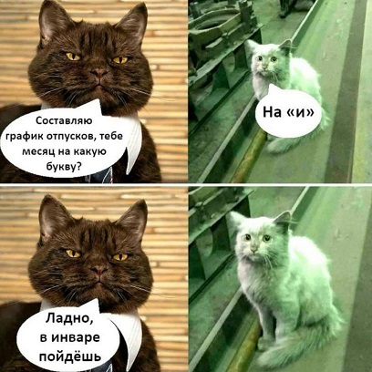 https://i6.imageban.ru/out/2026/06/29/d1f57ec7deea28bba468b4b49f61f35a.jpg