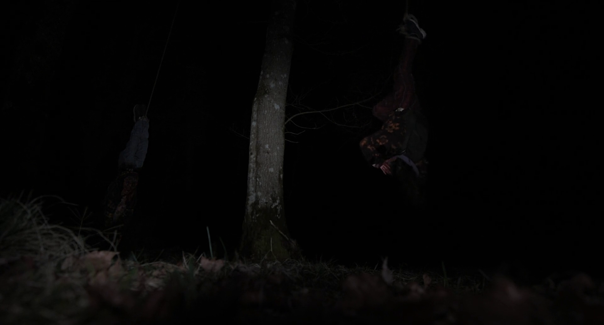 vlcsnap-2026-07-01-03h12m50s459.png