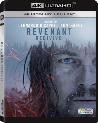Revenant - Redivivo (2015) .mkv Blu-ray 2160p UHD HDR10 DTS 5.1 x265 iTA ENG