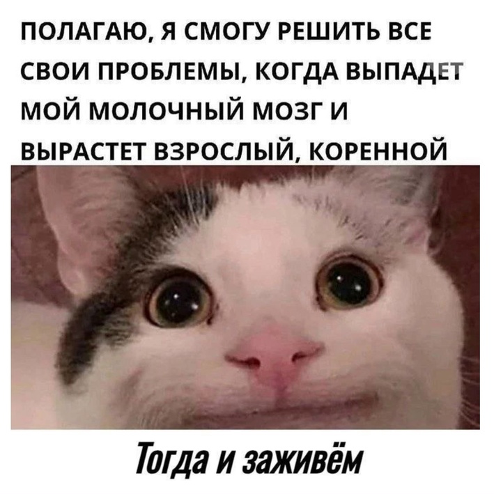 Hmpio7pYMYeDzcLQDwcUY9__brULTEMGIPb9EUcYDo5_ynAIrqkW4zVKIOd5qlGn8Do8wzHKQpf_1D86dARbs3Zw.jpg