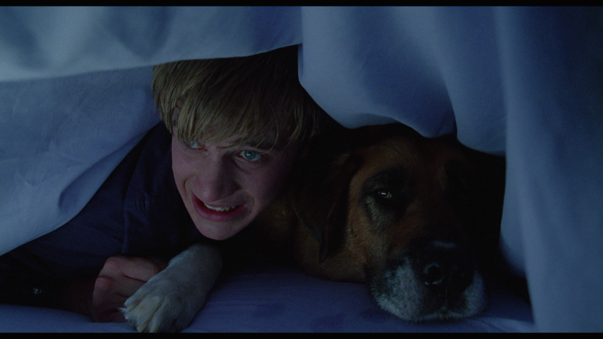 Idle.Hands.1999.Umbrella.Entertainment.BDRemux.1080p.mkv_20260705_191338.026.png