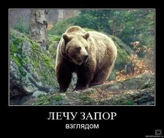 https://i6.imageban.ru/out/2026/07/05/a9f0d34ffc319149775a367702b926b1.jpg