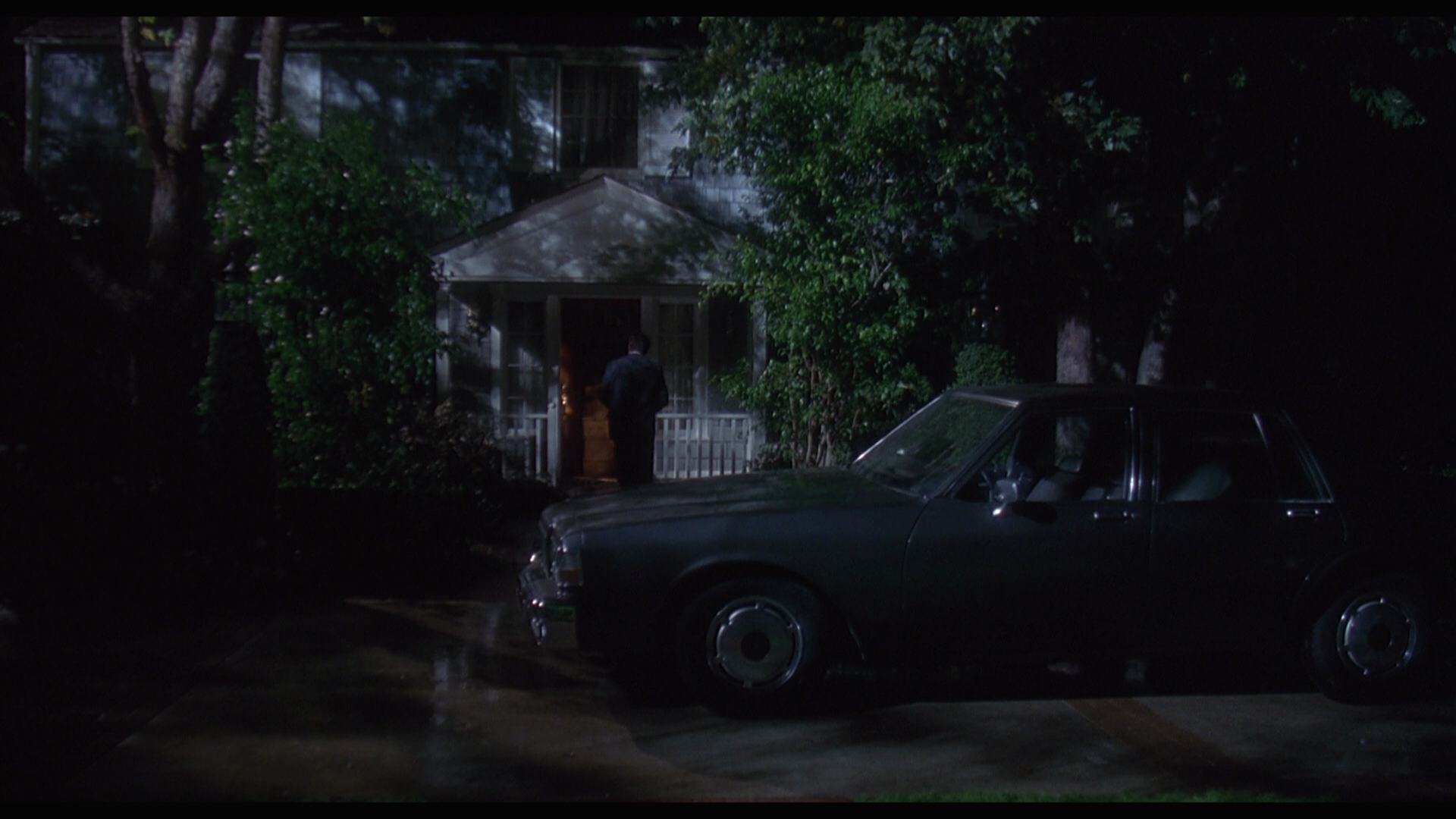 Fatal.Instinct.1993.Olive.Films.BDRemux.1080p.mkv_20260705_153845.713.png