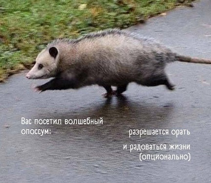 https://i6.imageban.ru/out/2026/07/08/4d0afbdfbce4f9f72f473a4d914e143b.jpg