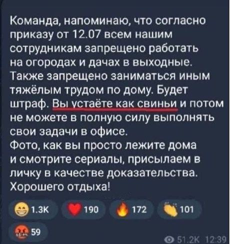 https://i6.imageban.ru/out/2026/07/13/c015180aa63226139755b7e49d8bdad4.jpg