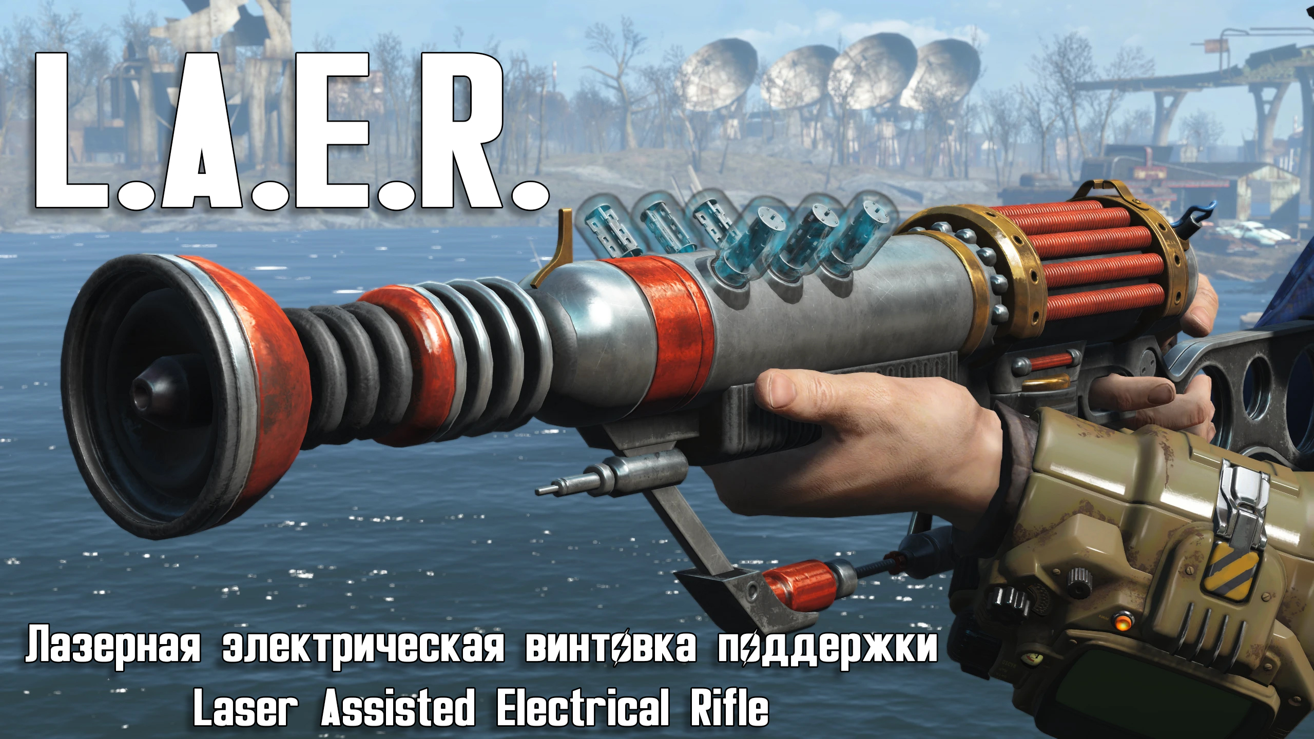 laer.jpg