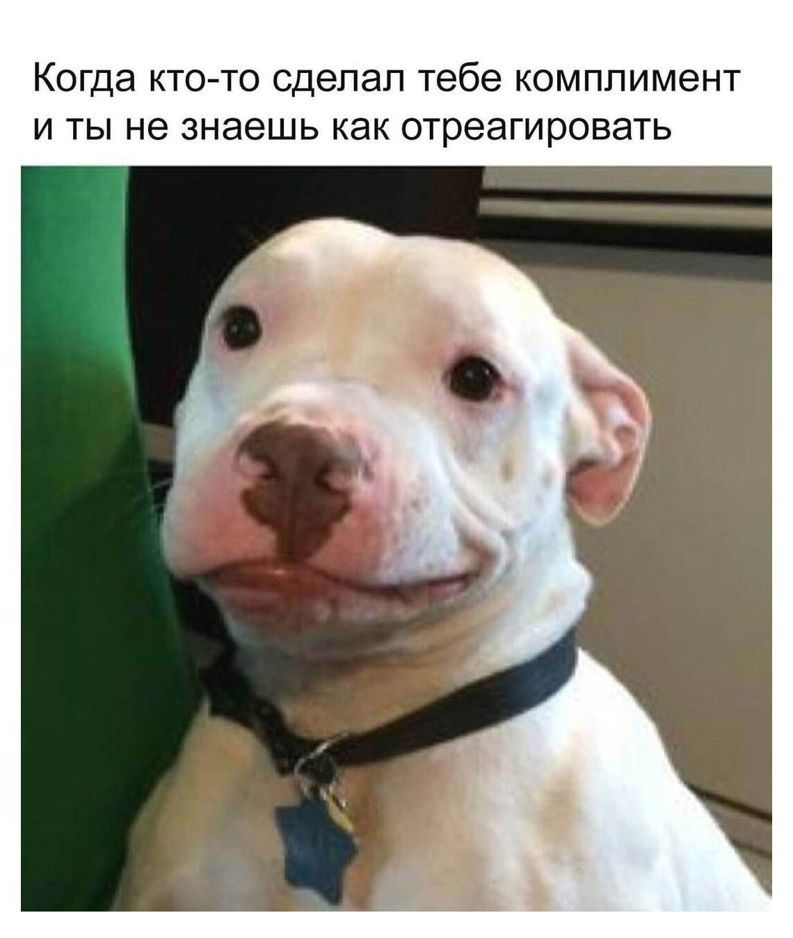 eb75a933edfb0d1b5da9183ce8b9fc7c.jpg