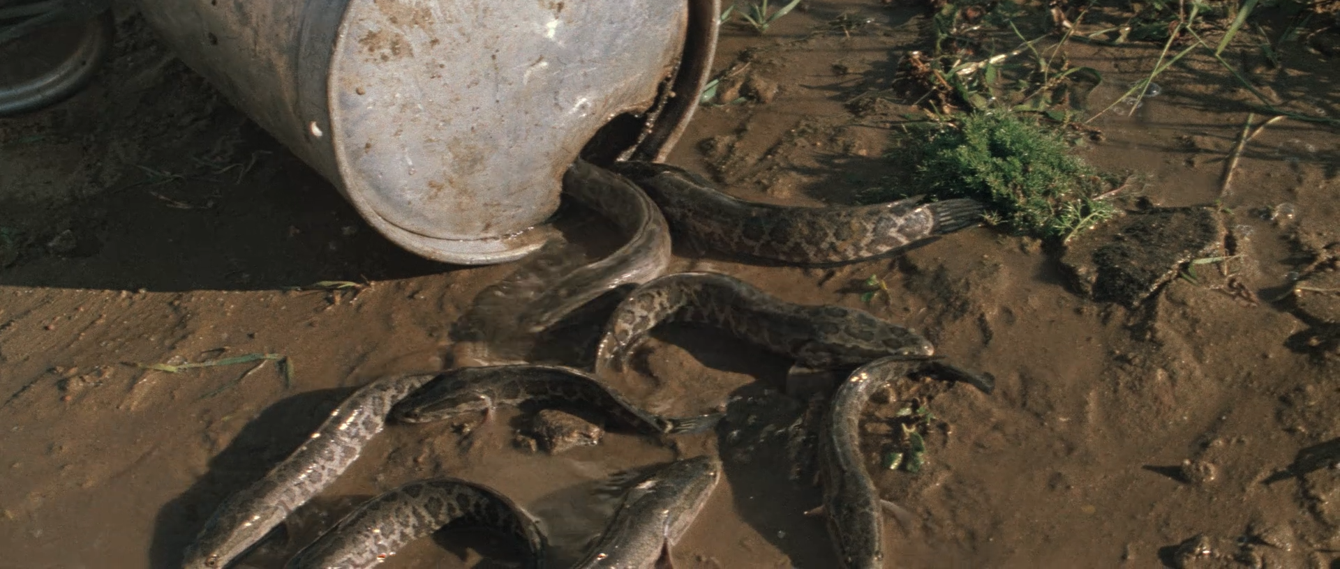 Ты.мне.я.тебе.1976.WEB.1080p-ylnian.mkv_snapshot_00.36.00.370.png