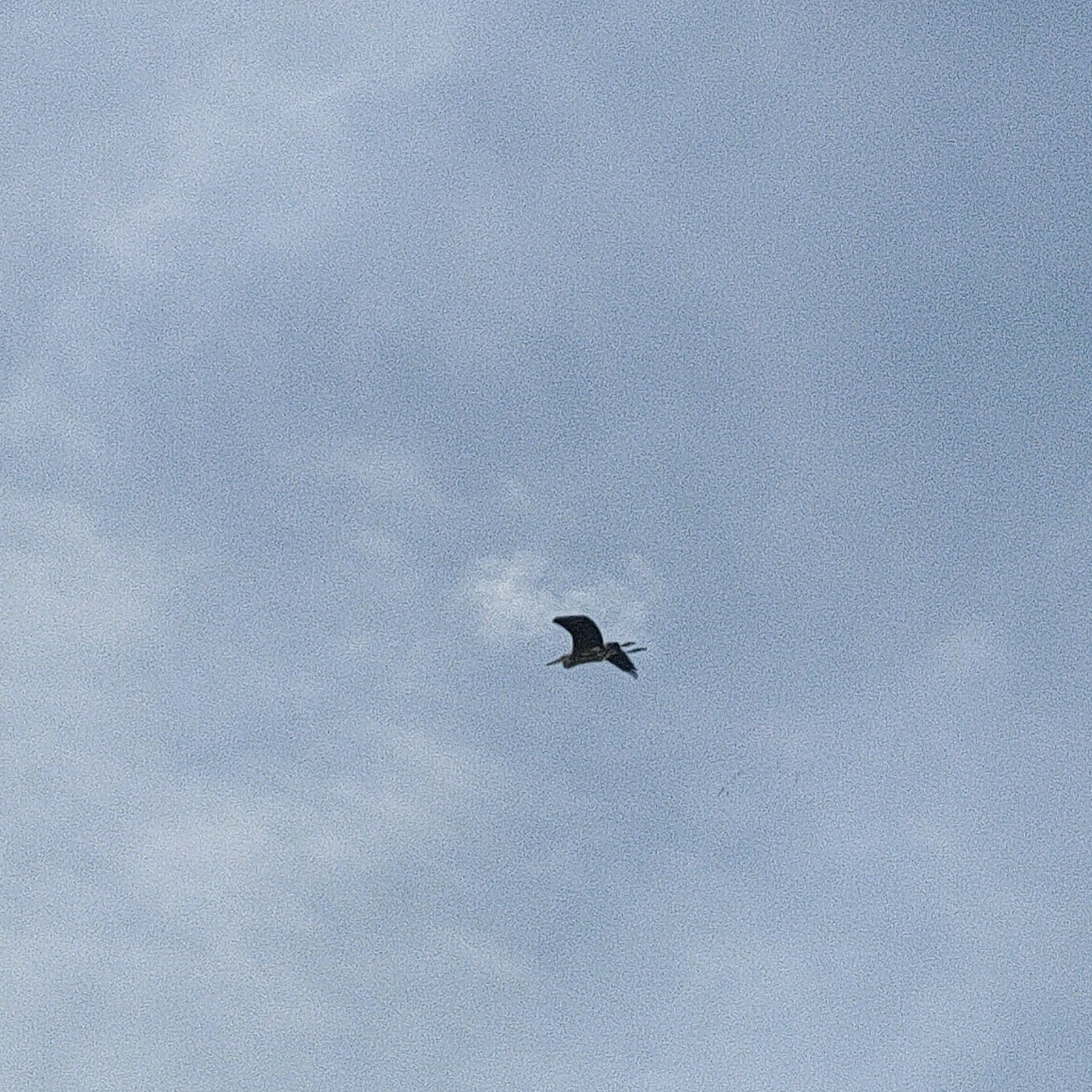 IMG20260725165258.jpg