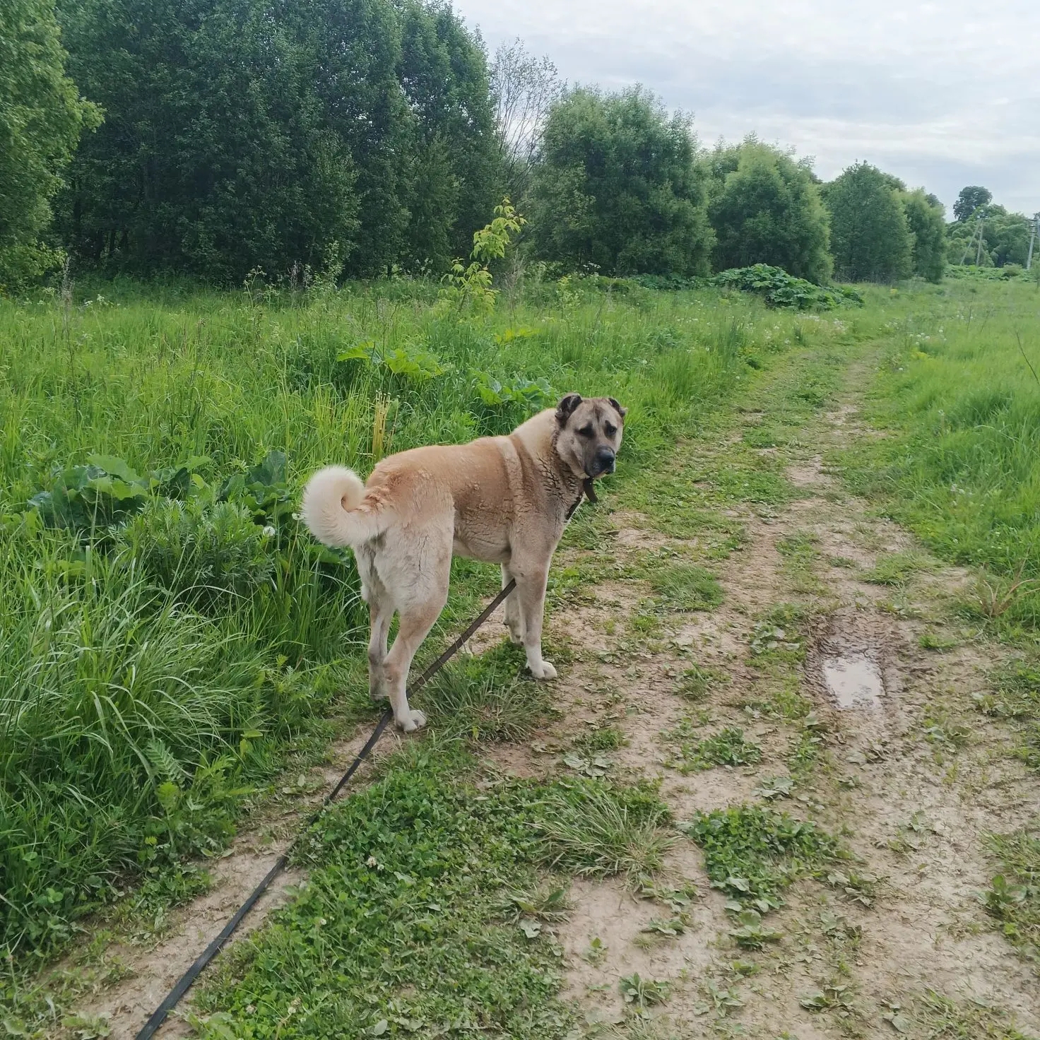 https://i6.imageban.ru/out/2026/07/29/e41106dd7fd24652df04b3339a42b282.jpg