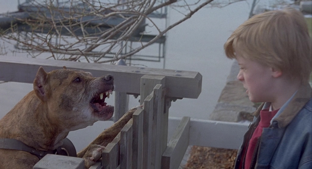 Добрый сынок.1993.BDRip AVC msltel.mkv_snapshot_00.25.45.015.jpg
