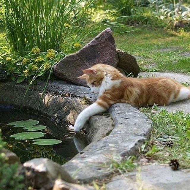 5-m8D4tkQAVmMCeNqsHcsswpvU1j3medBQN9CByD8aYnHHfFvI5h23NL_1OZClzDlf6rbsx7zjrcX9ka.jpg
