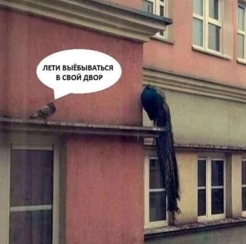 https://i6.imageban.ru/out/2026/07/31/c2a8a9a0382741581e4ca4efff83c770.jpg