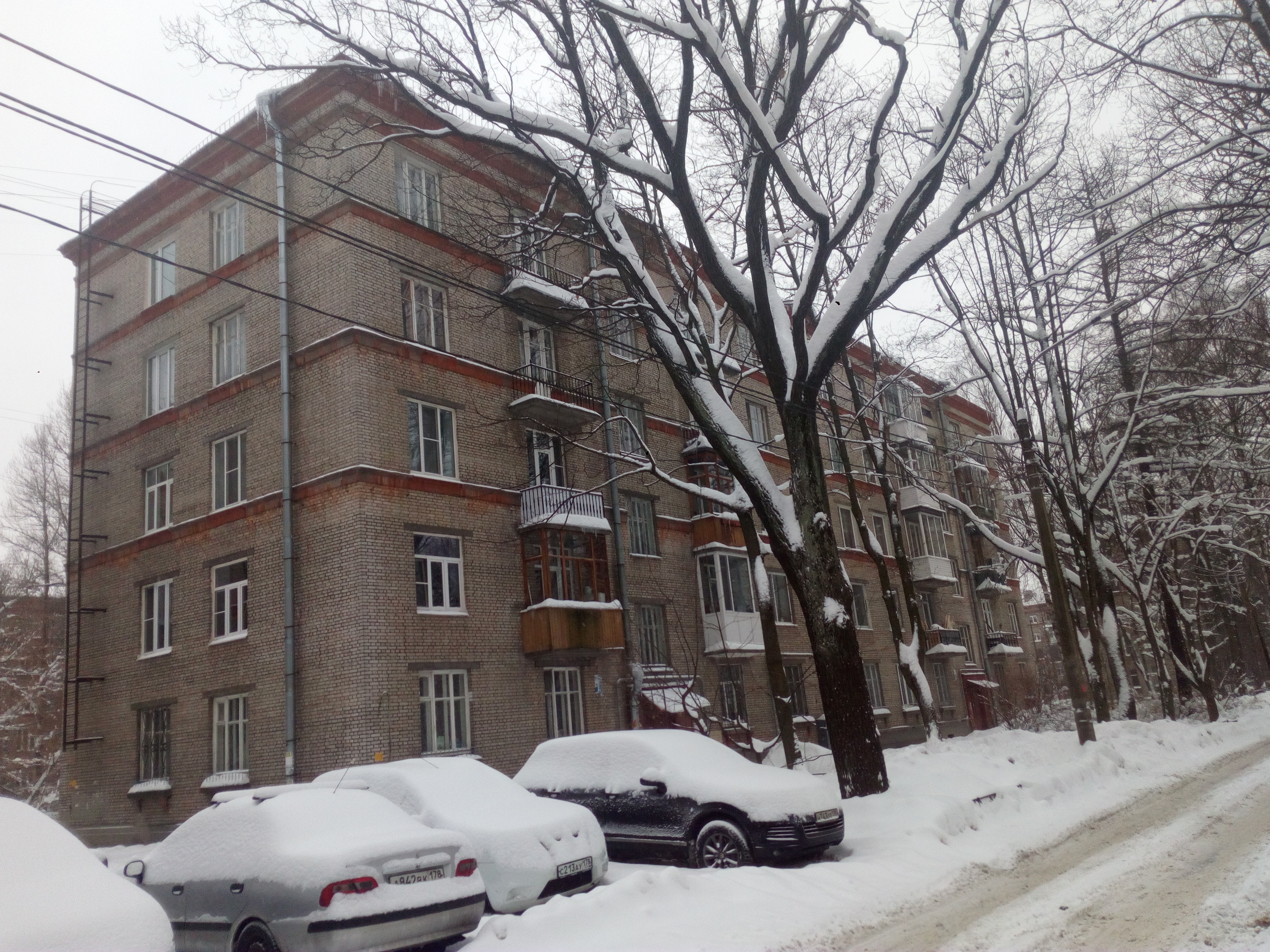 Костромской 39_3.jpg