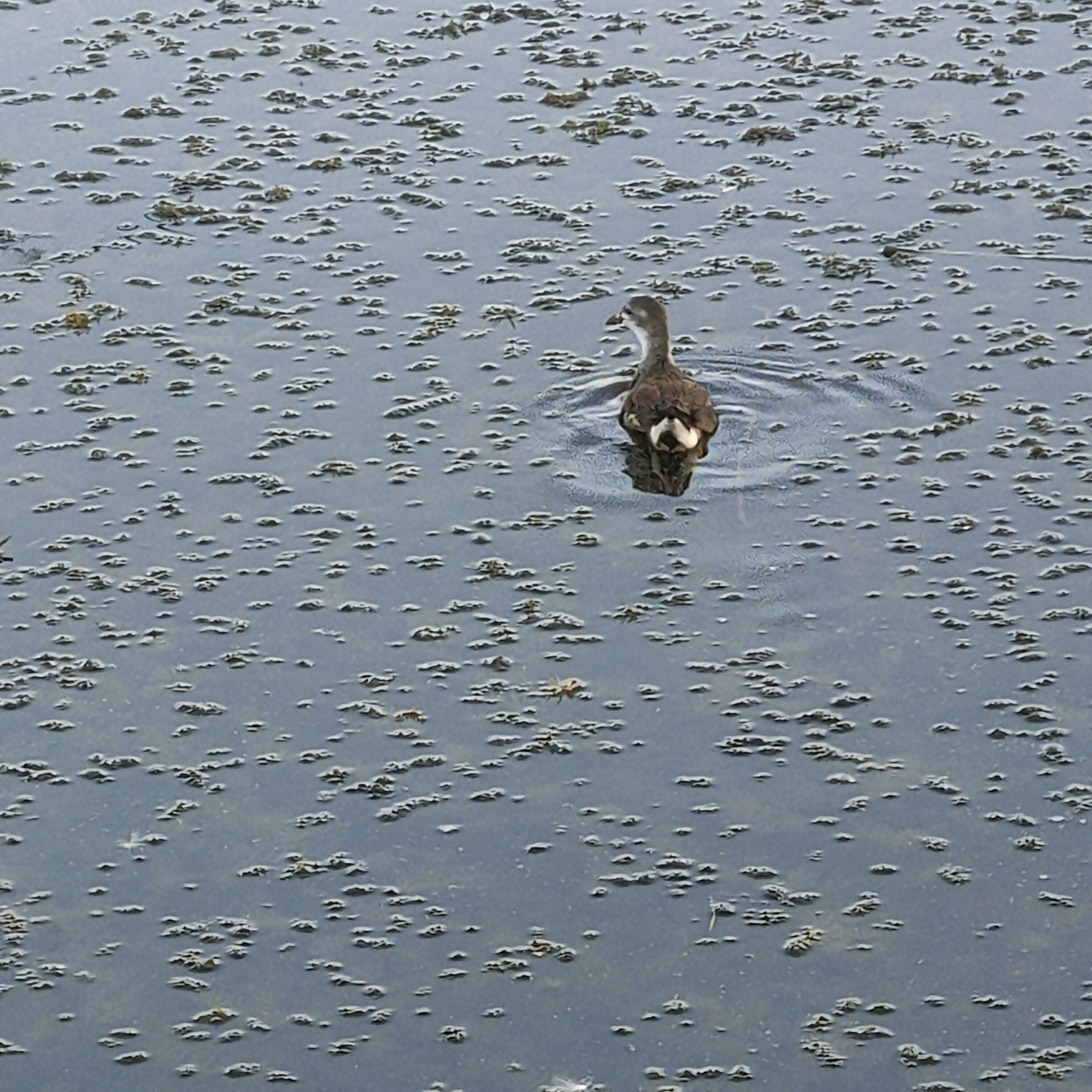IMG20260804185701.jpg