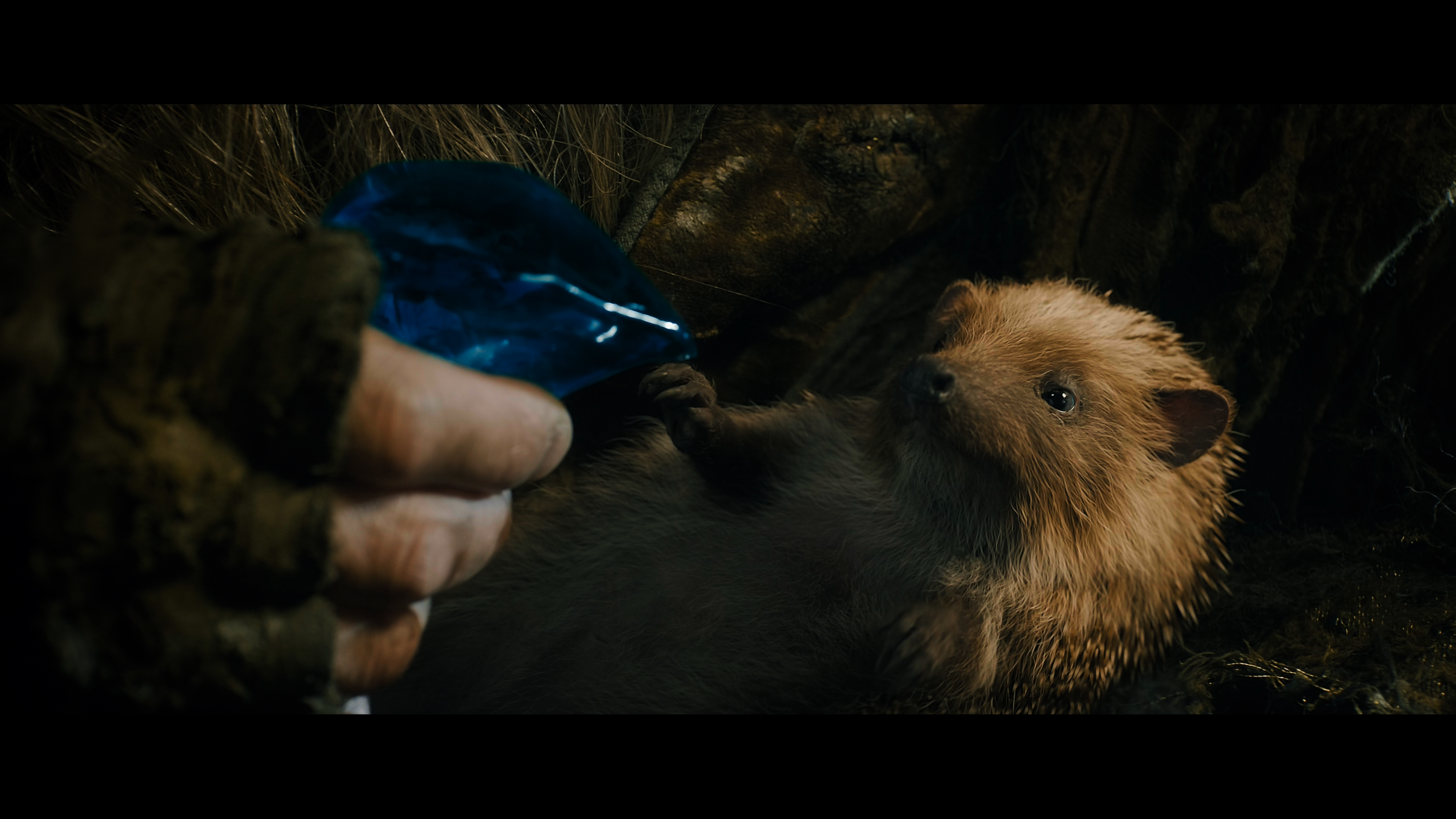 Хоббит Нежданное путешествие.2012.Extended Cut.UHD.Blu-Ray.Remux.2160p.mkv_snapshot_00.57.16.368.png