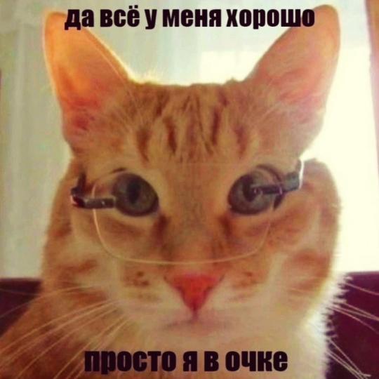 TDmyKGC7F1x9D-MIfSB9ef7fHUvFGKCO7aUO2_5lo1vNWky96eecdwJGo53mJydKE5xkL-zO32v3h5HRsq026KmN.jpg