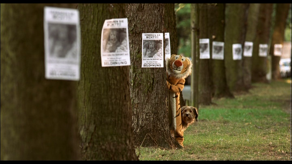 vlcsnap-2026-08-10-10h04m57s517.png