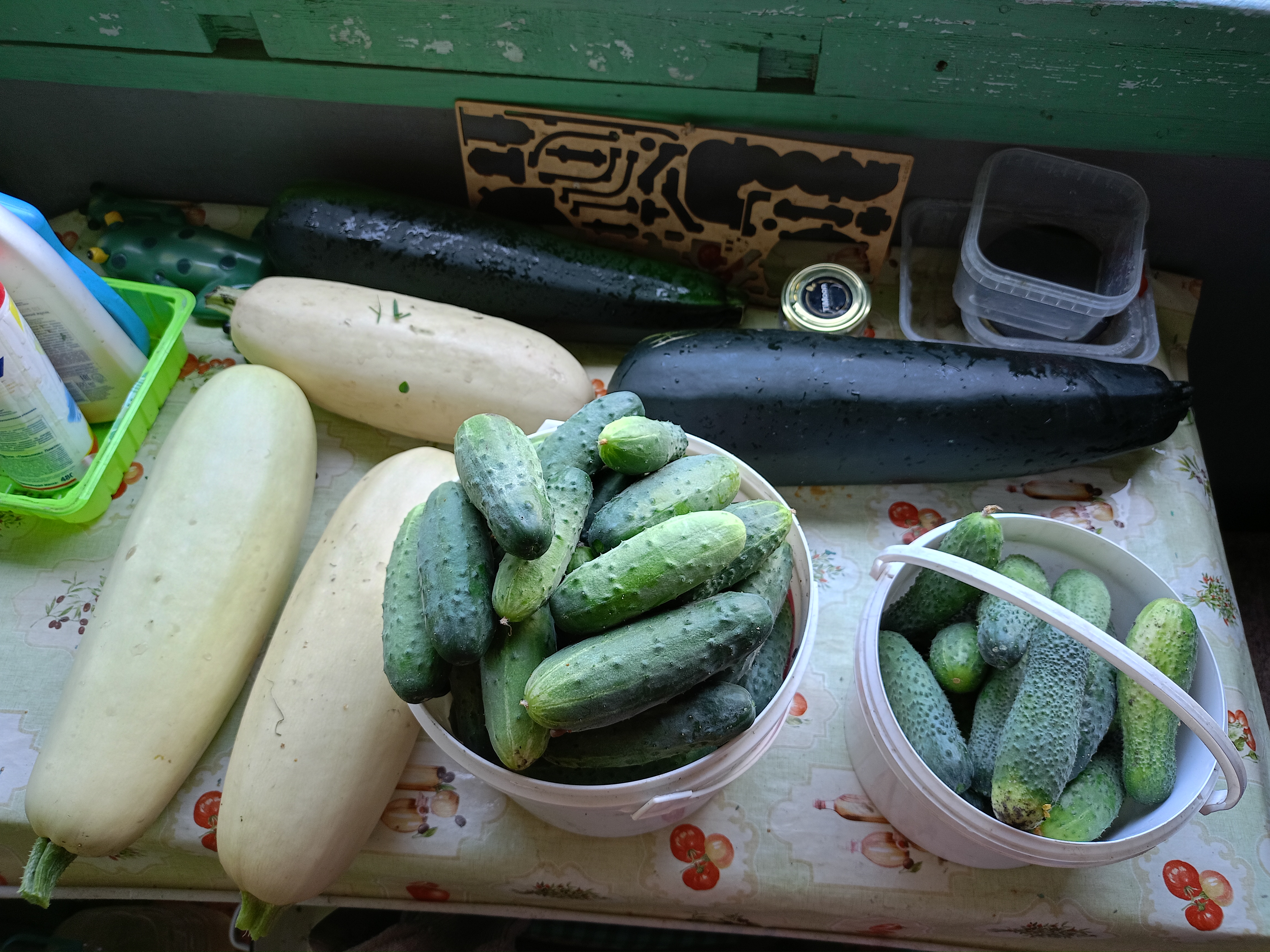 IMG20260730120123.jpg