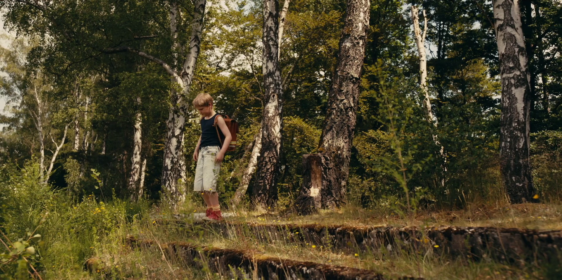 vlcsnap-2026-08-19-14h27m19s467.png