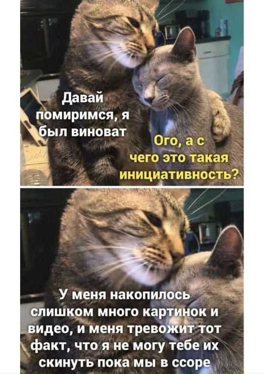 YuCd9f8laZ0rqVRsLBMNgZbDRmgc8bYcRYModwiCxnNiMA4Tza0xXMwWLi_wmQ855NVKPLPDcvx1D59hThQHut-.jpg