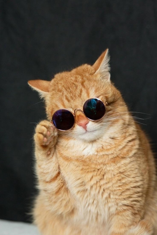 o32h1EWqIEsJVqV8_cBKwnECMeJFqT4iFKoUqu0WDXfQYVMyENwhigtCsU3_6tuI69WyekS2vZqxLR8gTtCvucEr.jpg