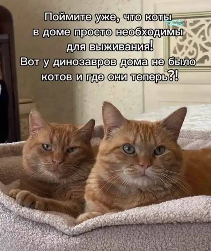 07e79af269df128cce41af86064d847a.jpg