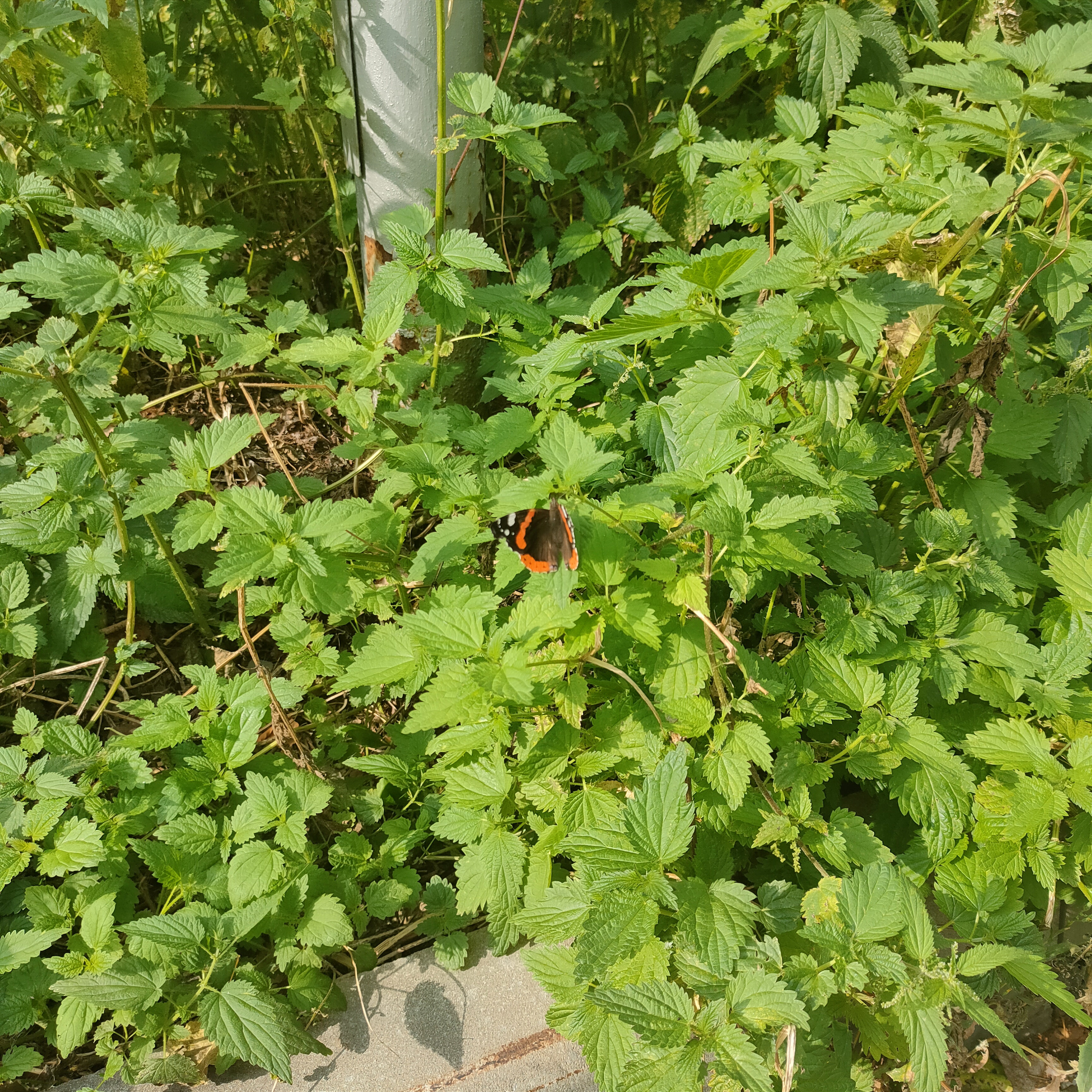 IMG20260901141540.jpg