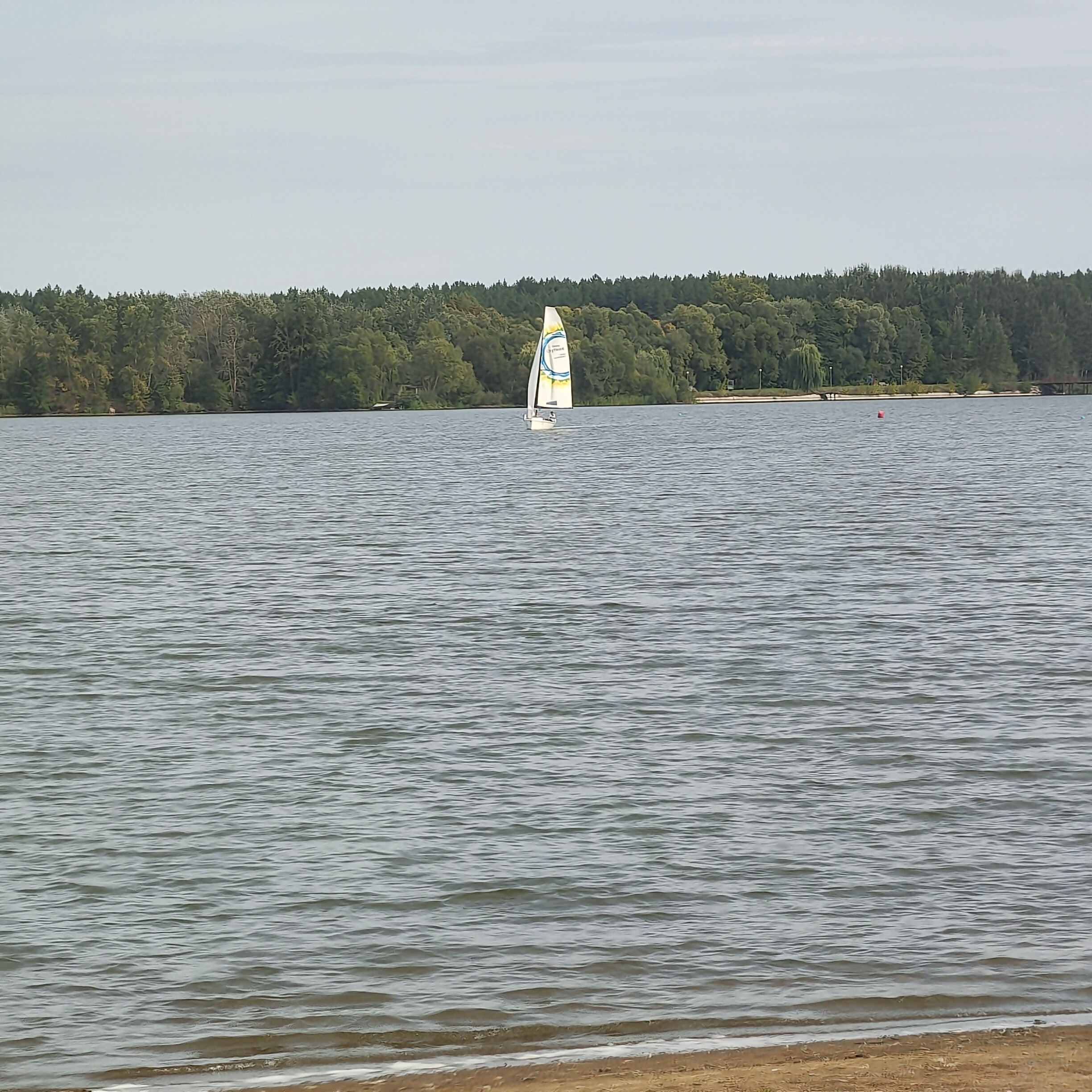 IMG20260903144228.jpg